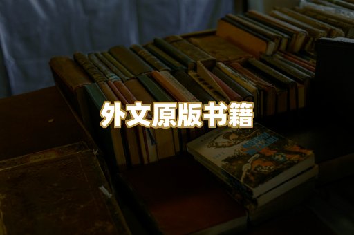 外文原版书籍